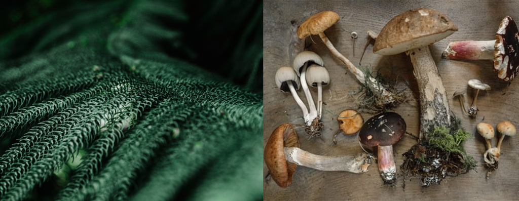 Сырье_ткань