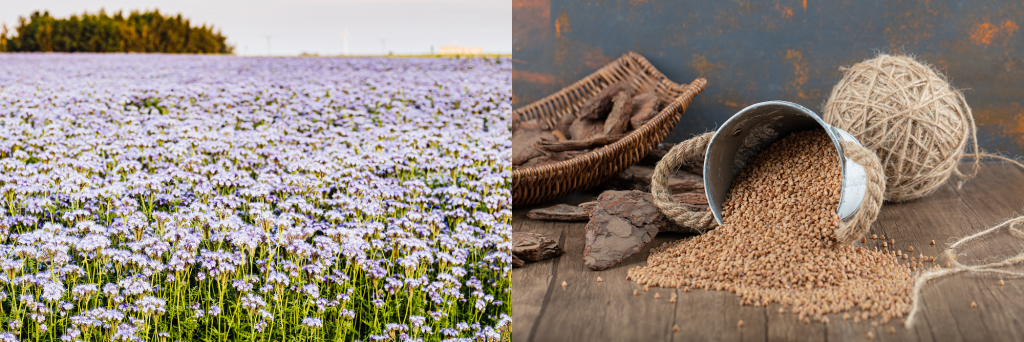 Технологии обработки льна