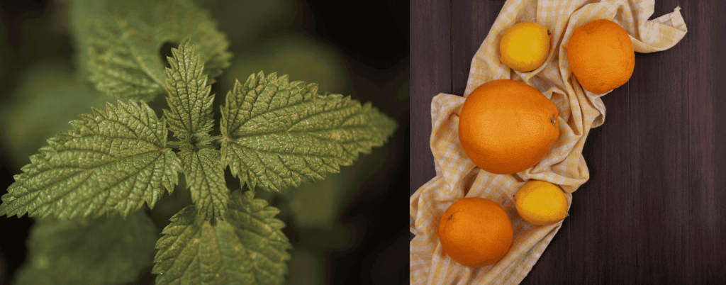 tkan-apelsinov-i-krapivш