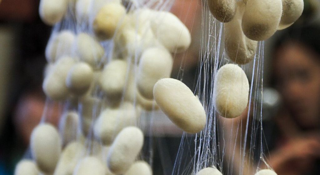 производство шелка