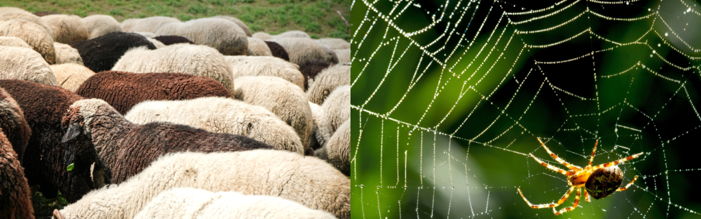 Сырье_ткань