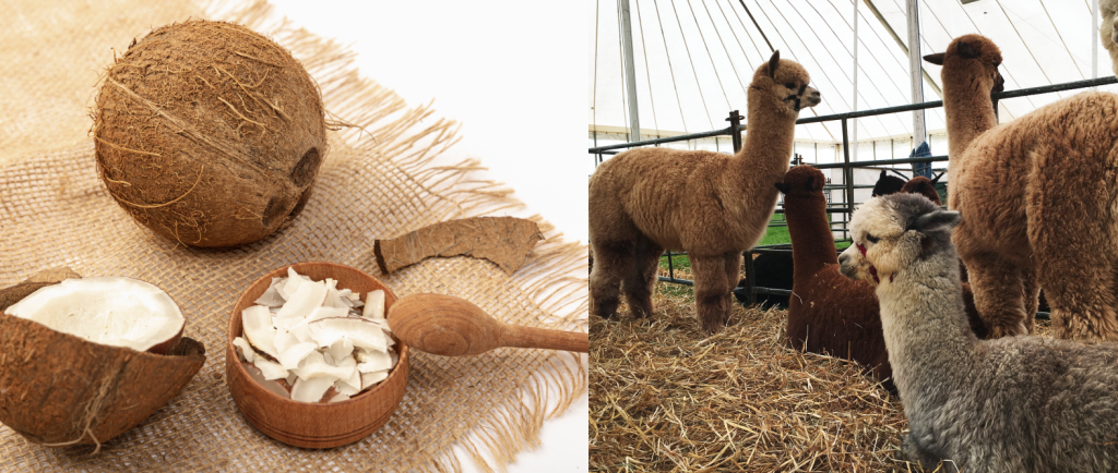 Сырье_ткань